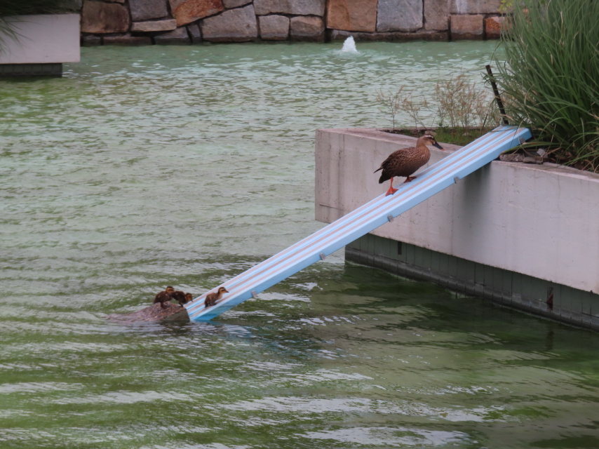 ファイル 8604-3.jpg