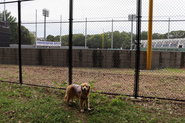 ファイル 8606-4.jpg