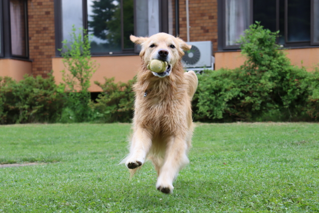 ファイル 8607-4.jpg