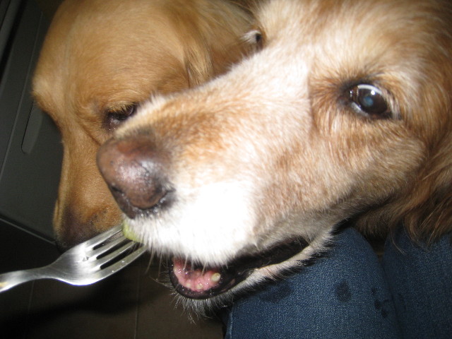 ファイル 861-3.jpg