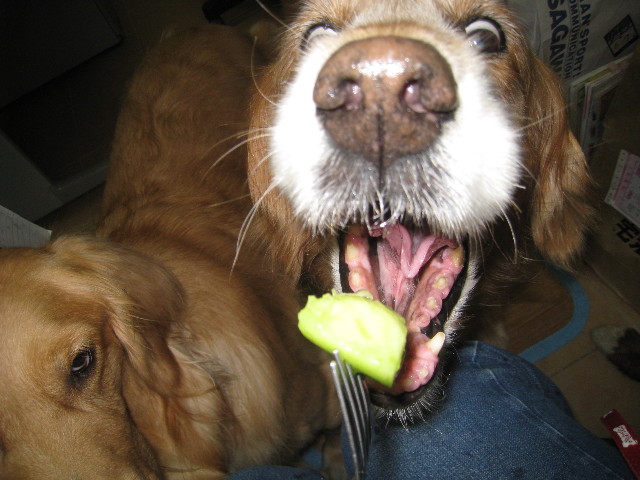 ファイル 861-4.jpg