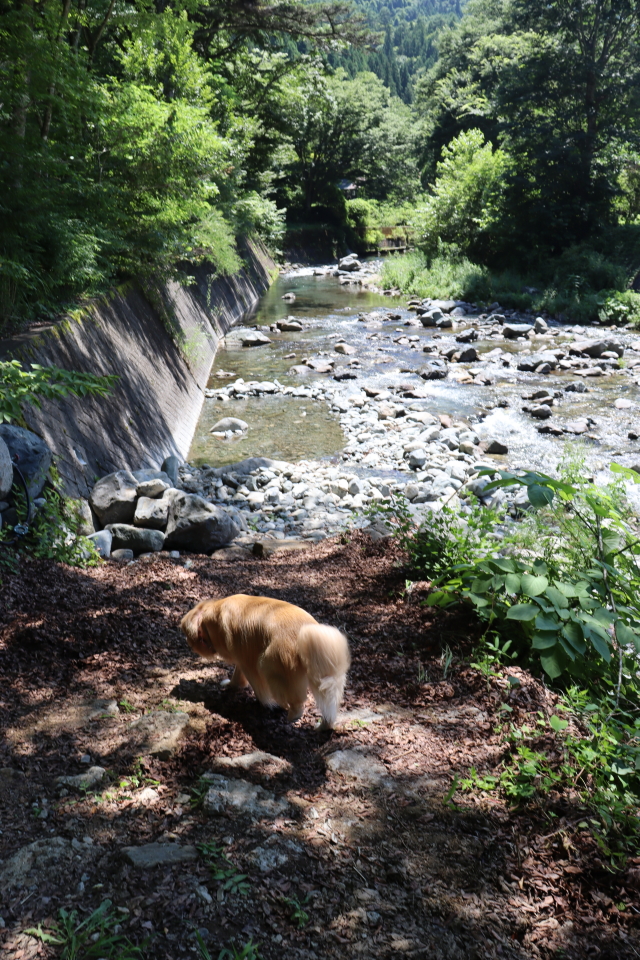 ファイル 8610-1.jpg