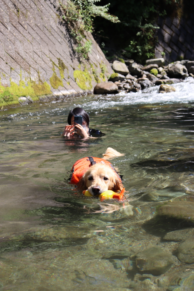 ファイル 8610-3.jpg