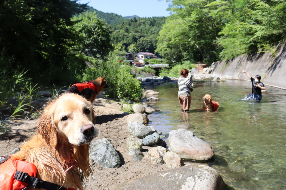 ファイル 8610-4.jpg