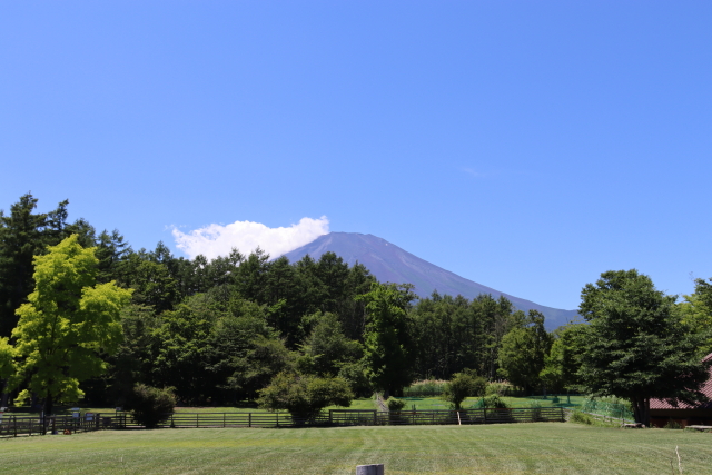 ファイル 8611-2.jpg