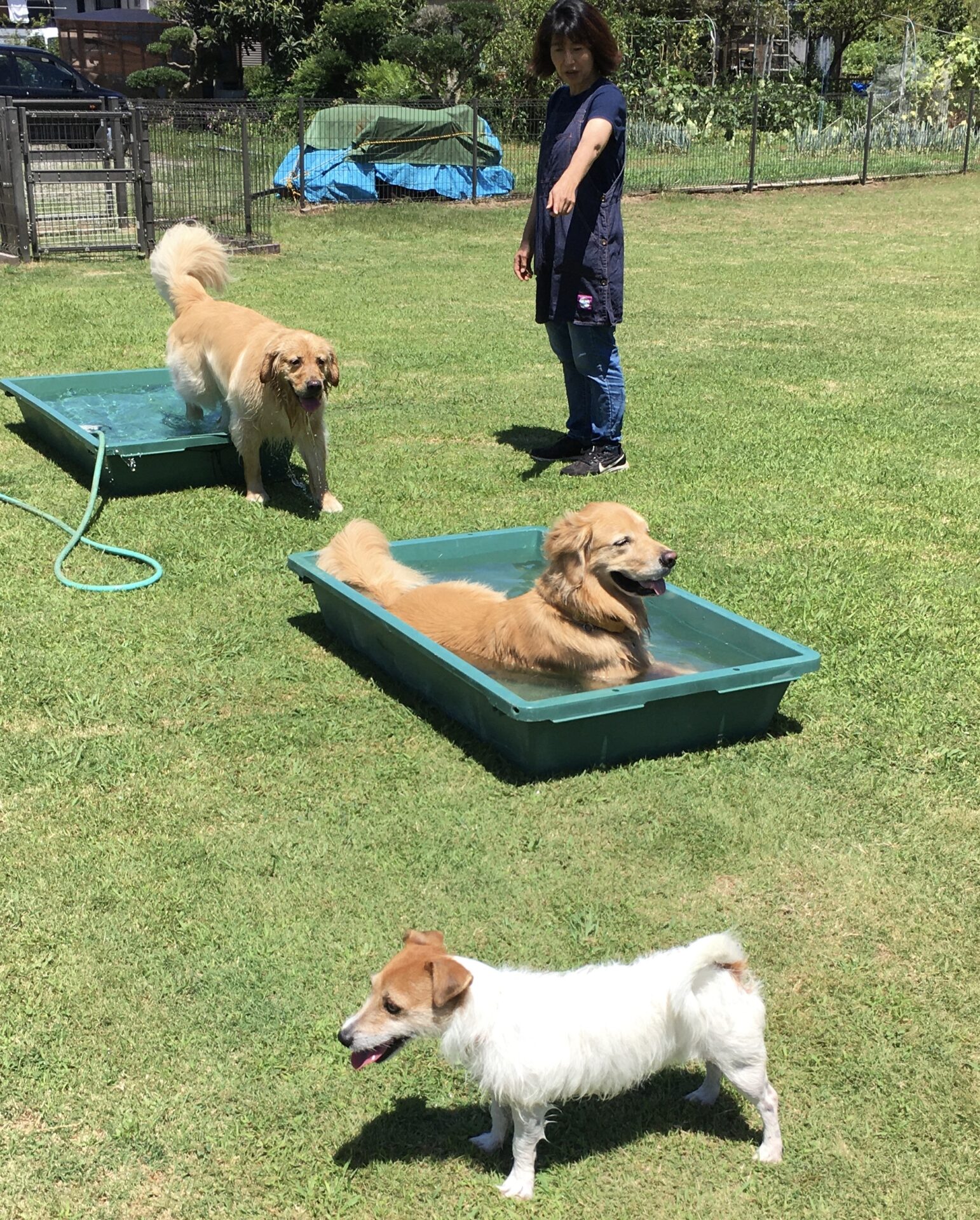 ファイル 8613-5.jpeg