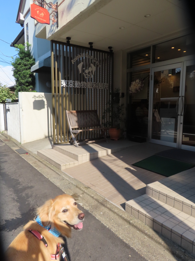 ファイル 8614-3.jpg