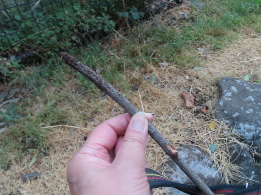 ファイル 8616-4.jpg