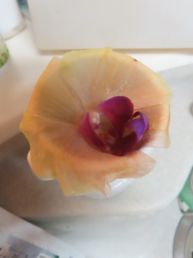 ファイル 8616-5.jpg