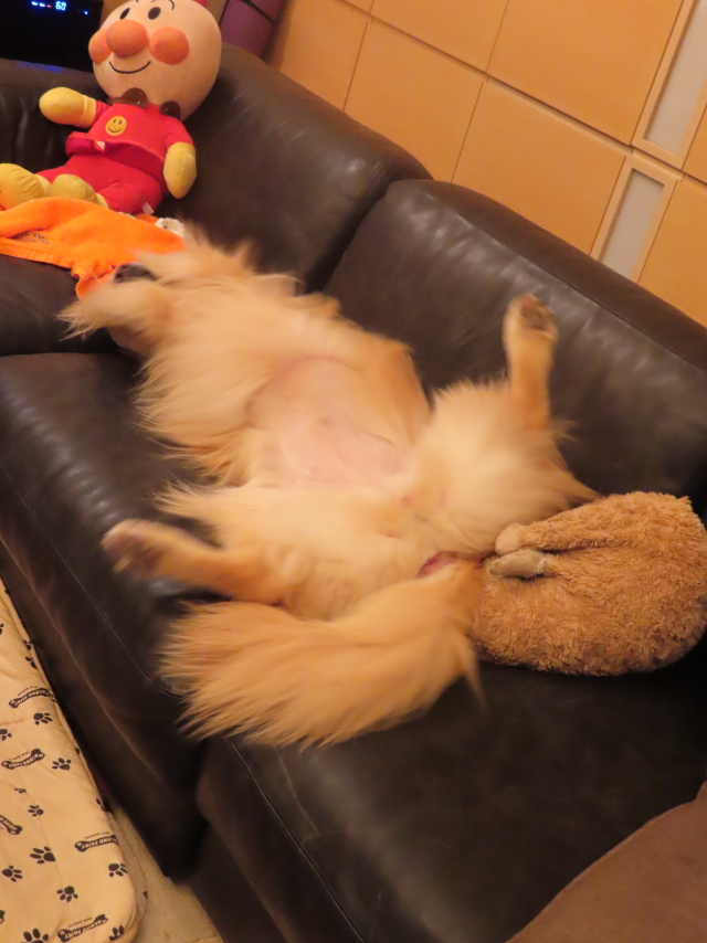 ファイル 8619-4.jpg