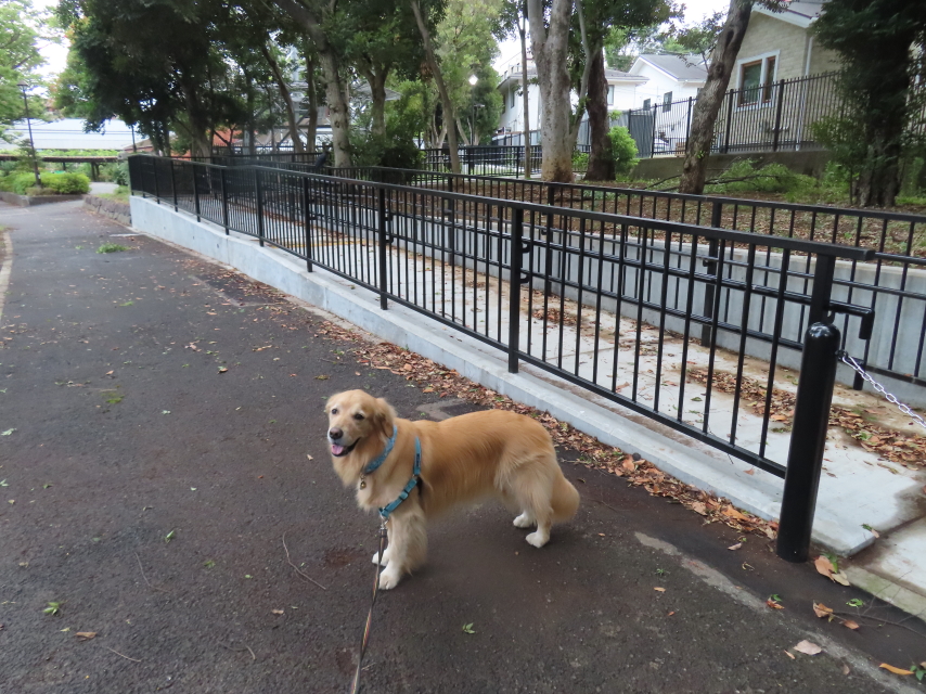 ファイル 8619-5.jpg