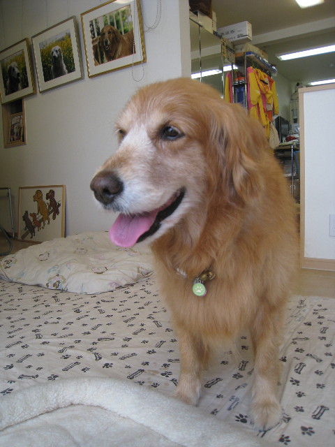 ファイル 862-1.jpg