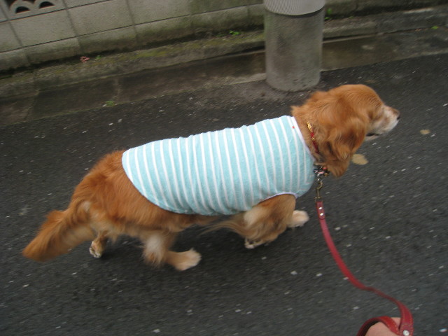 ファイル 862-2.jpg