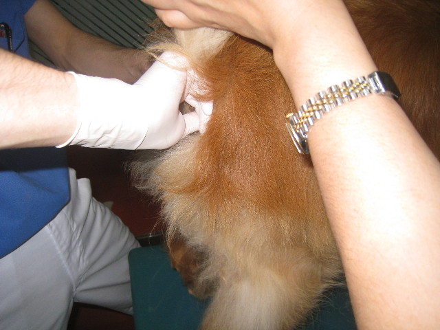 ファイル 862-3.jpg