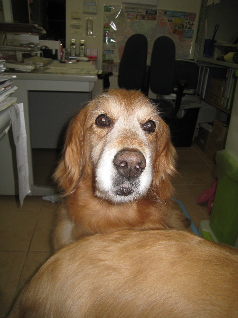 ファイル 862-4.jpg