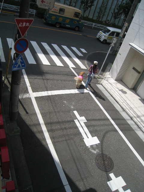 ファイル 862-5.jpg