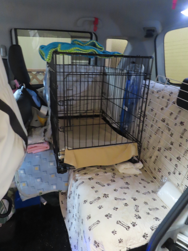 ファイル 8620-3.jpg