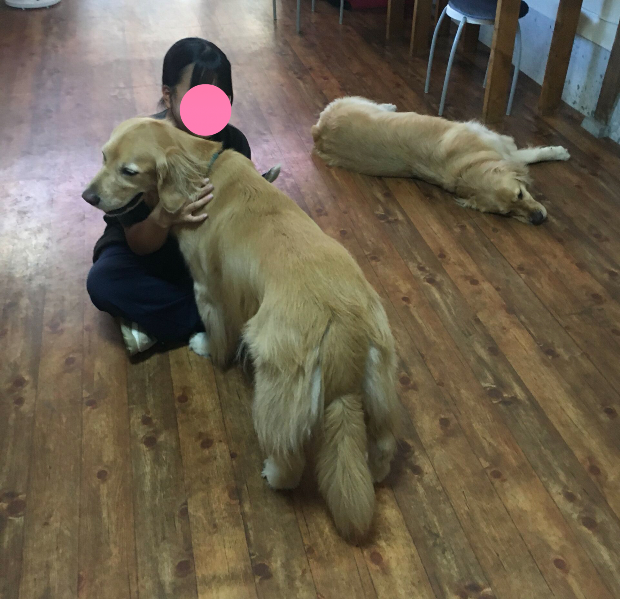 ファイル 8621-2.jpg