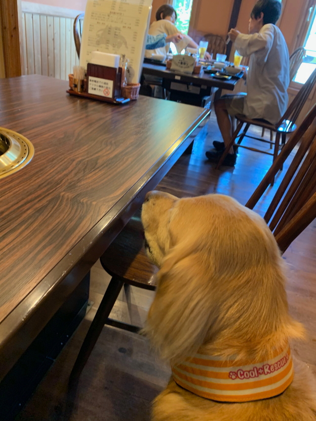 ファイル 8622-1.jpg