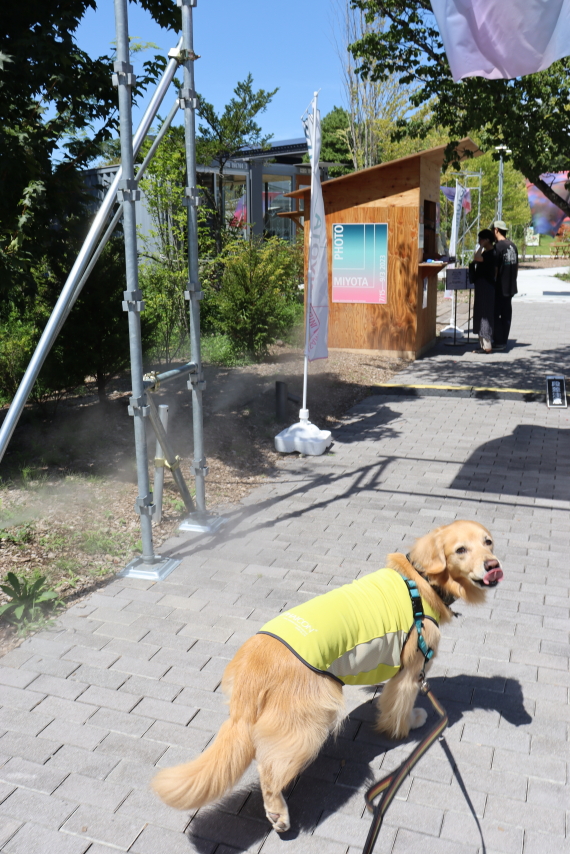 ファイル 8622-3.jpg