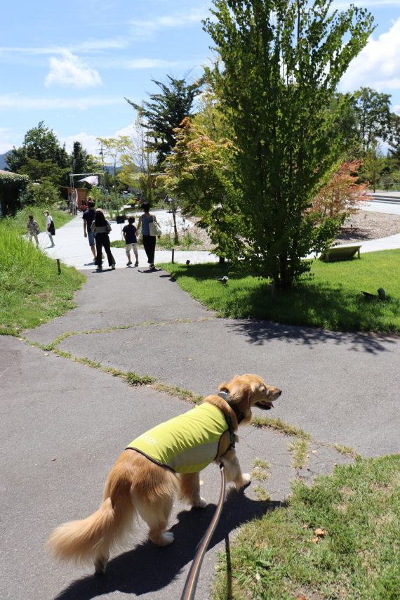 ファイル 8622-5.jpg