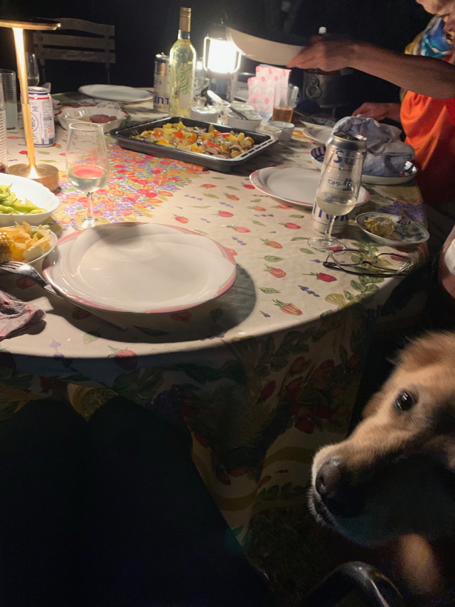 ファイル 8623-3.jpg