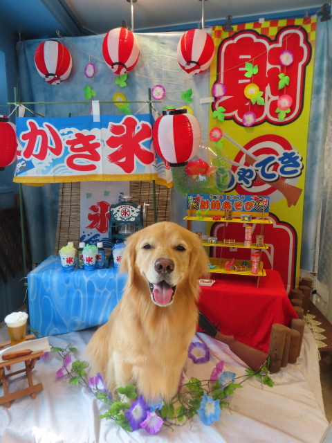 ファイル 8625-1.jpg