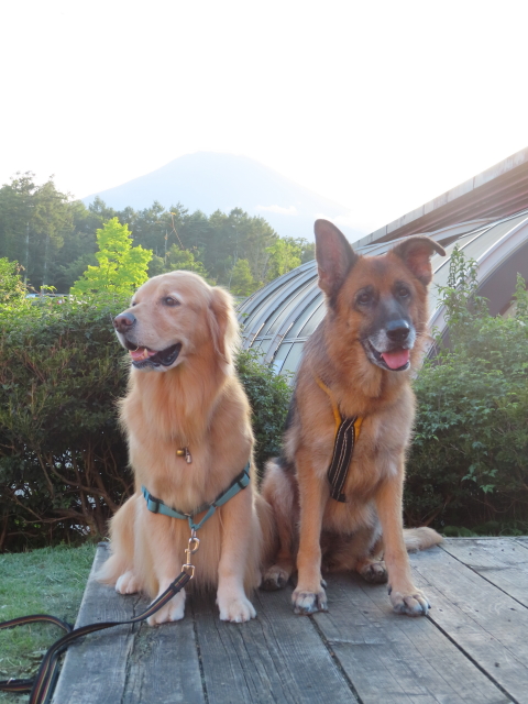 ファイル 8627-1.jpg