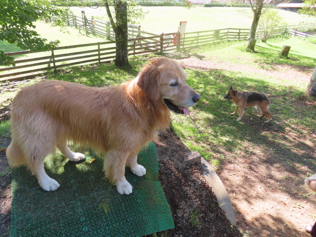 ファイル 8627-4.jpg