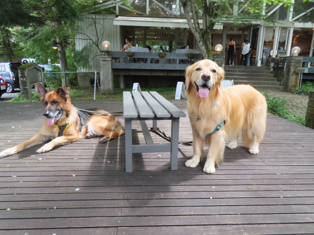 ファイル 8628-4.jpg