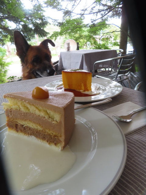 ファイル 8628-5.jpg