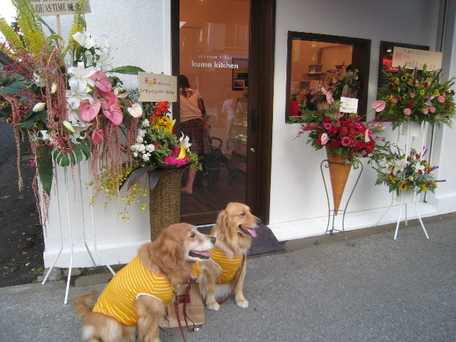 ファイル 863-1.jpg