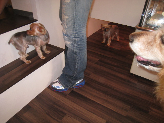 ファイル 863-4.jpg