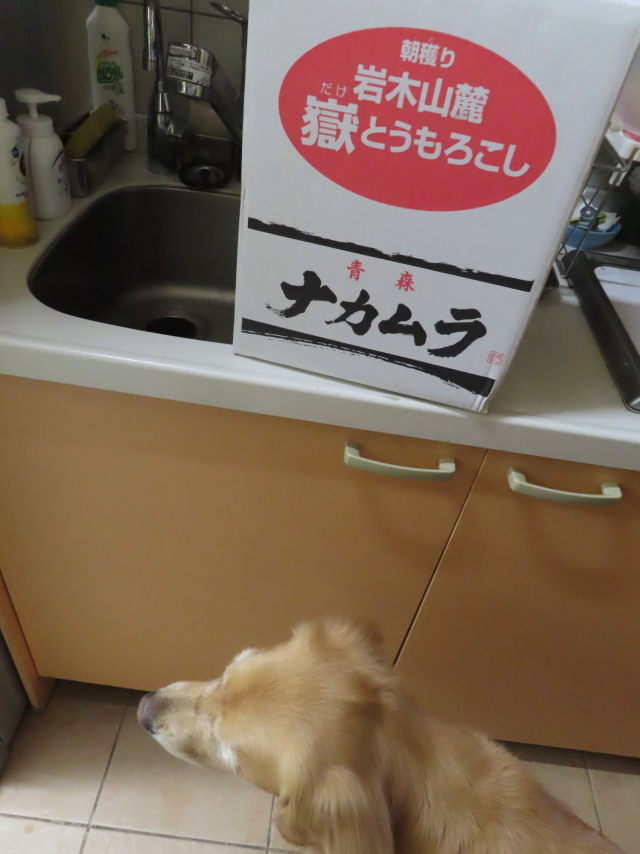 ファイル 8630-1.jpg