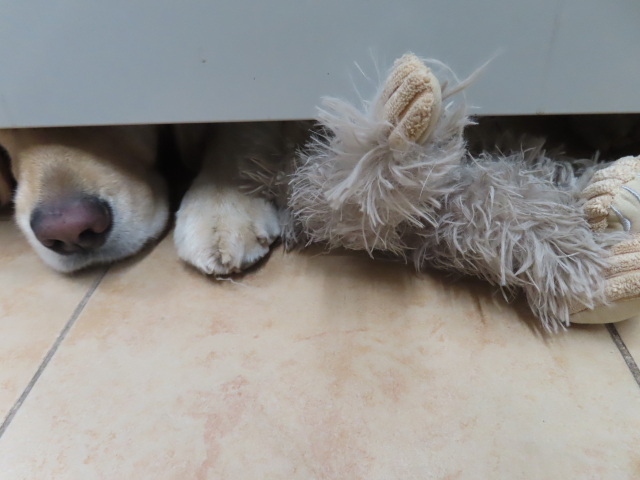 ファイル 8630-2.jpg