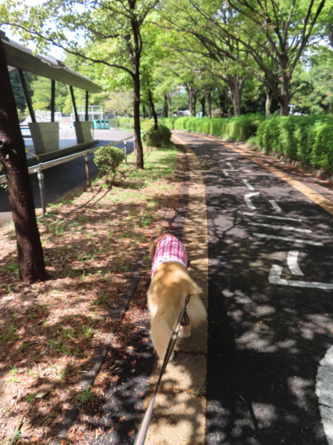 ファイル 8631-3.jpg