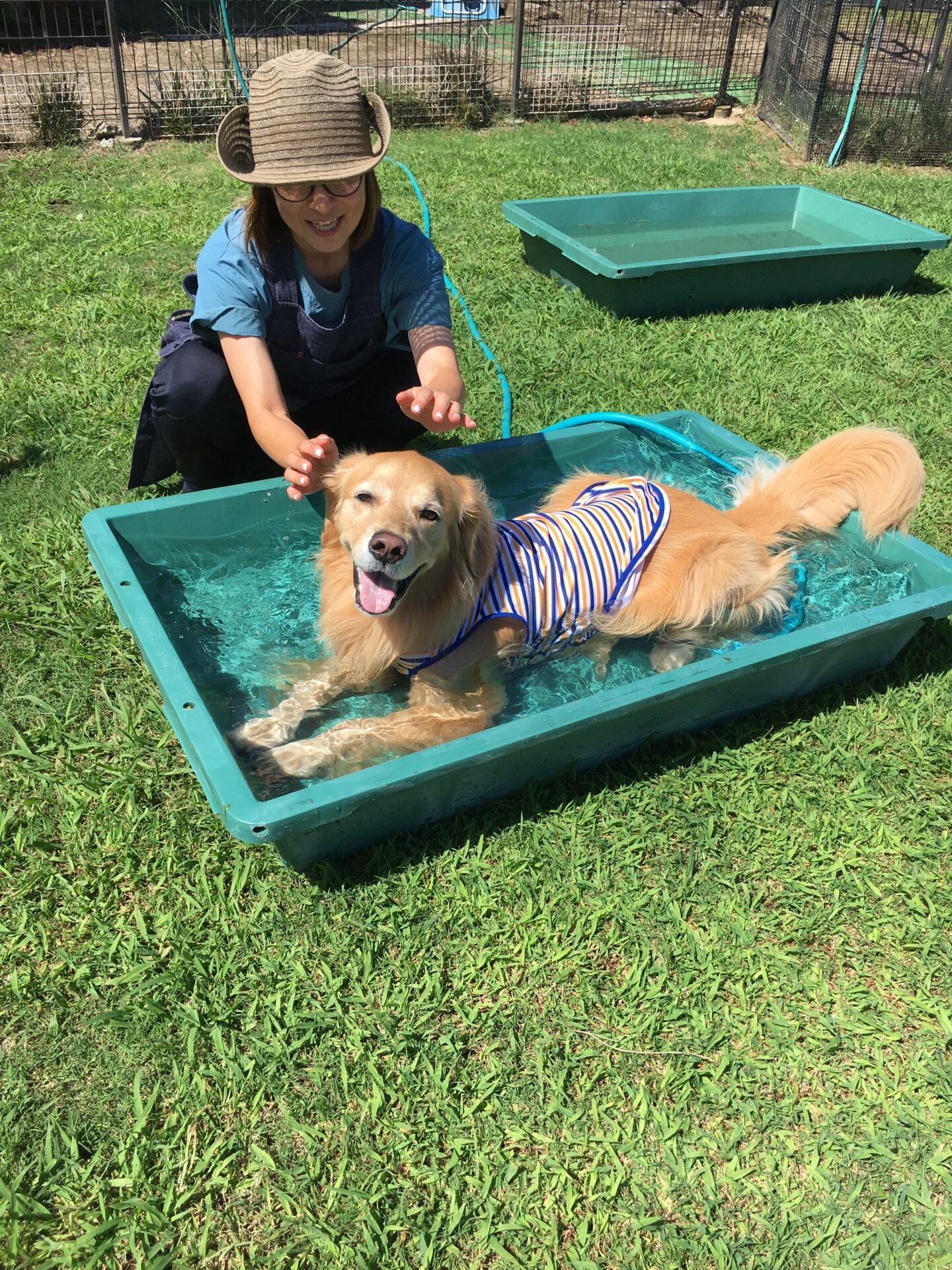 ファイル 8633-3.jpeg