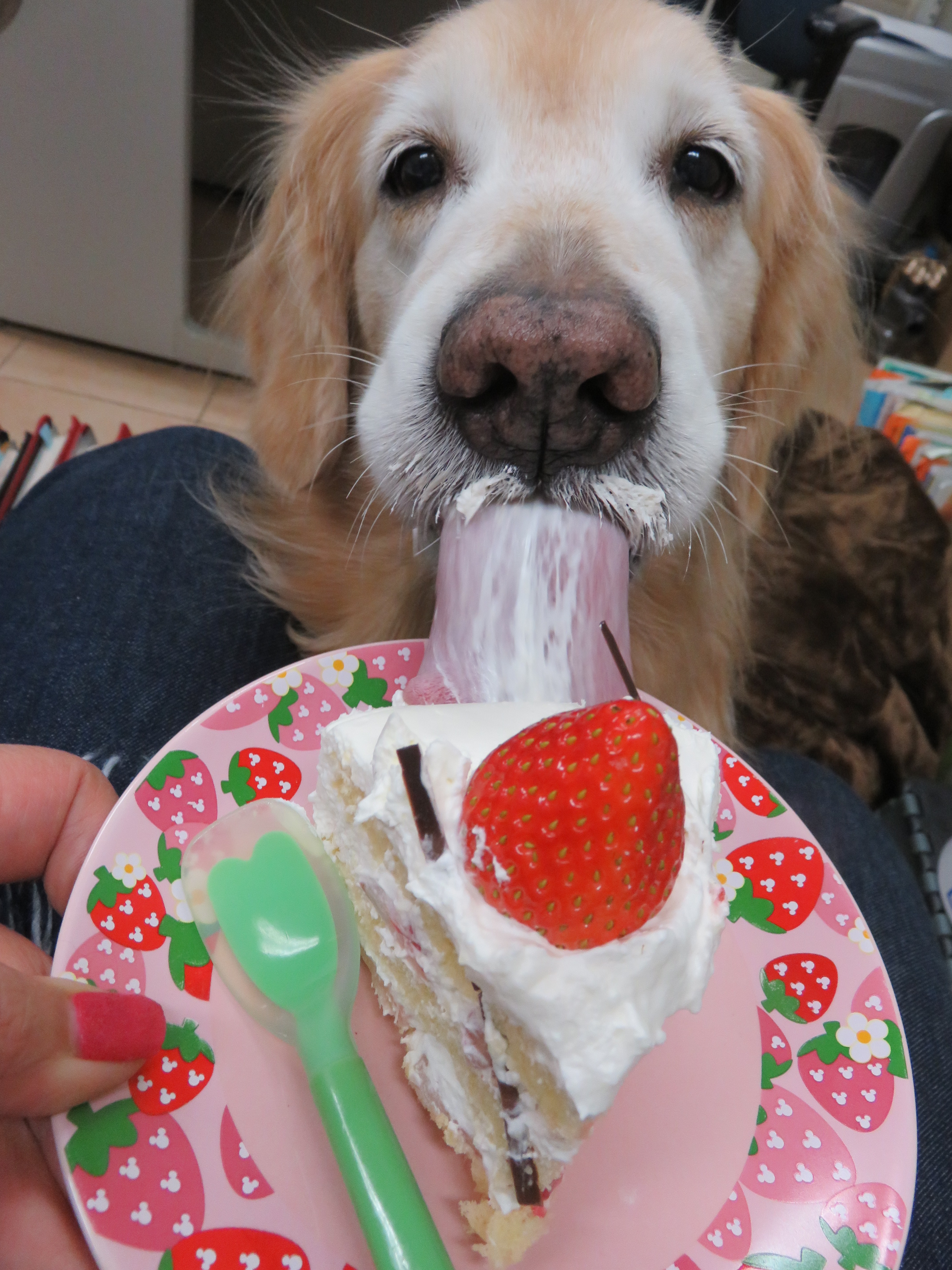 ファイル 8636-1.jpg