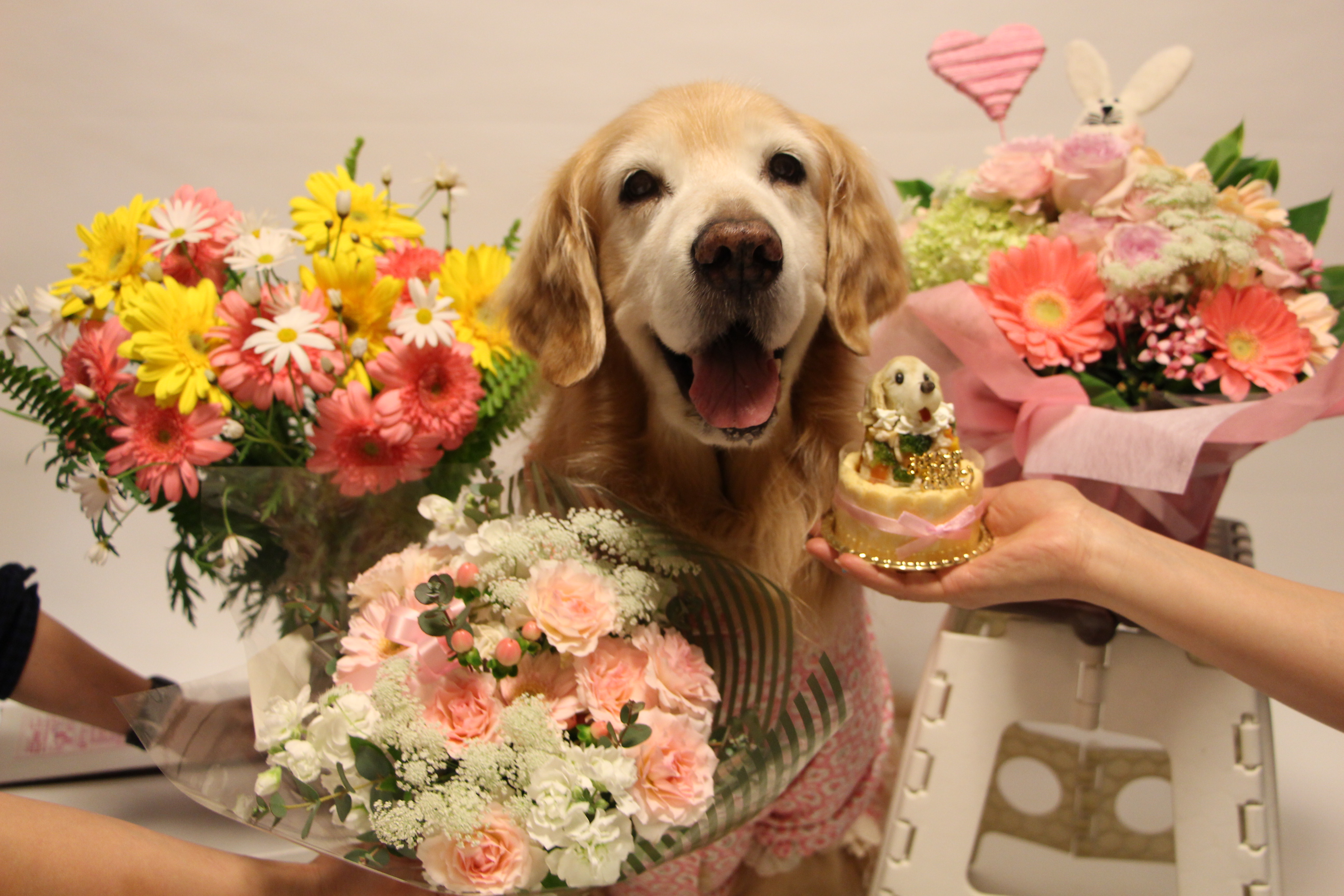 ファイル 8636-2.jpg