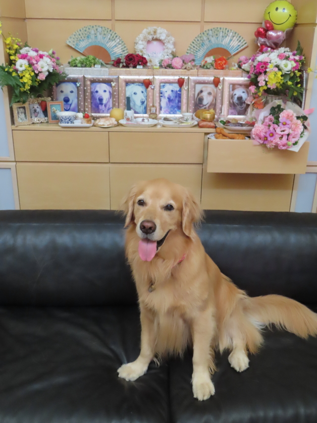 ファイル 8636-5.jpg