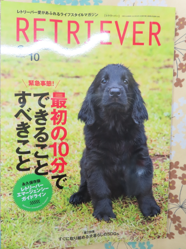 ファイル 8637-3.jpg