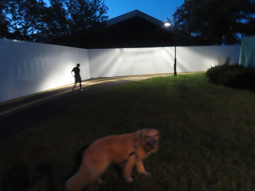 ファイル 8637-5.jpg