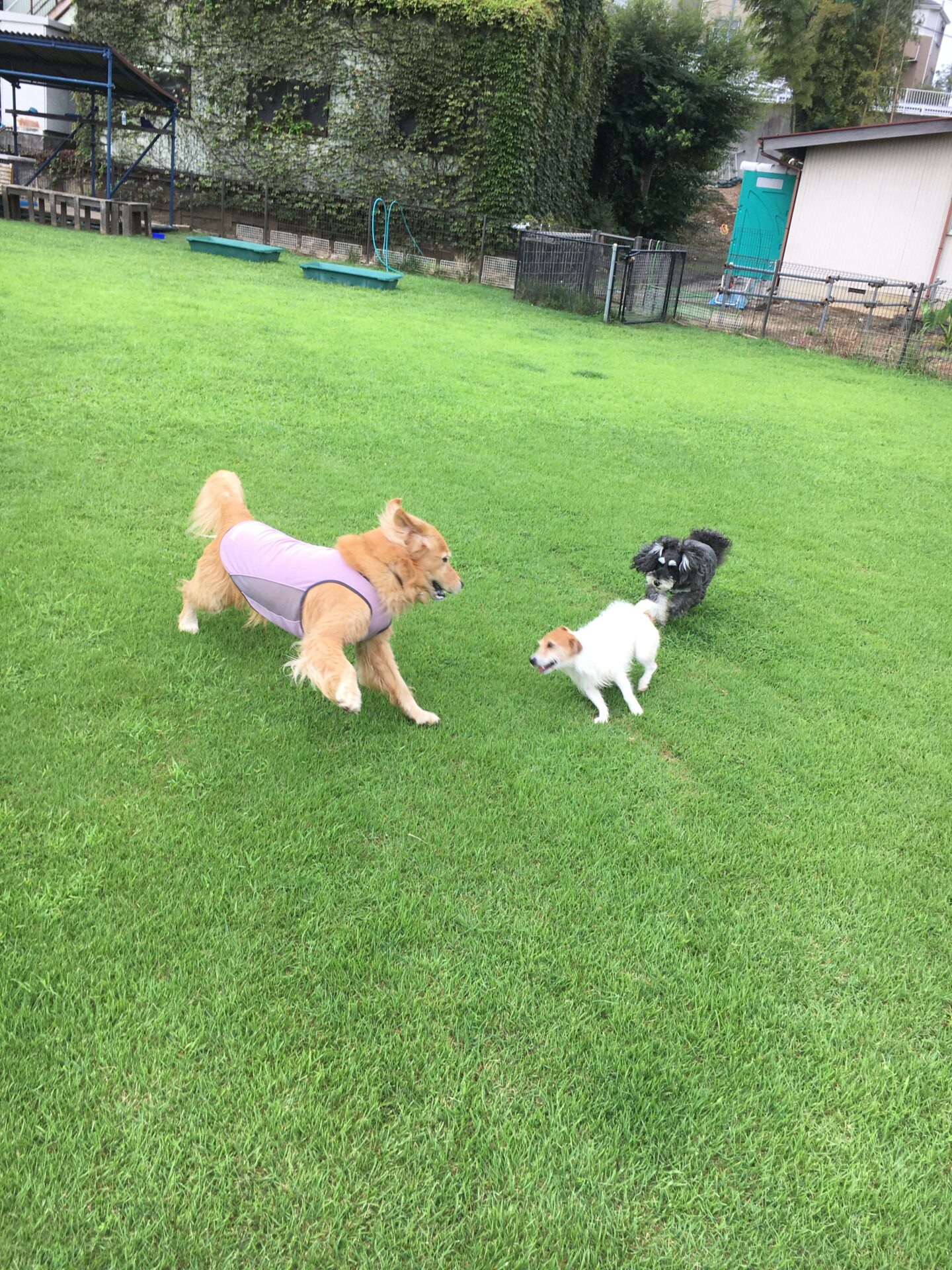 ファイル 8638-1.jpeg