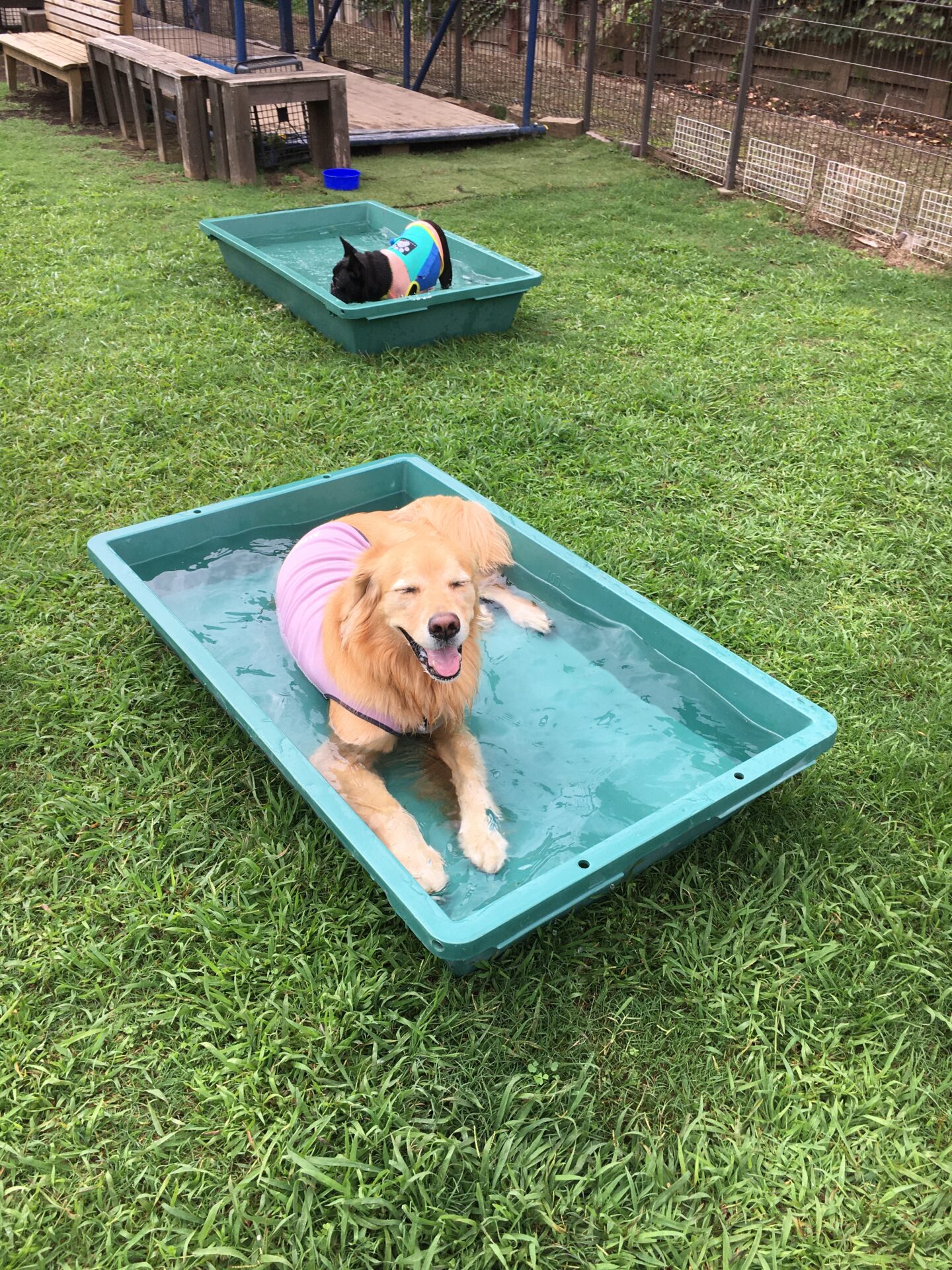 ファイル 8638-4.jpeg