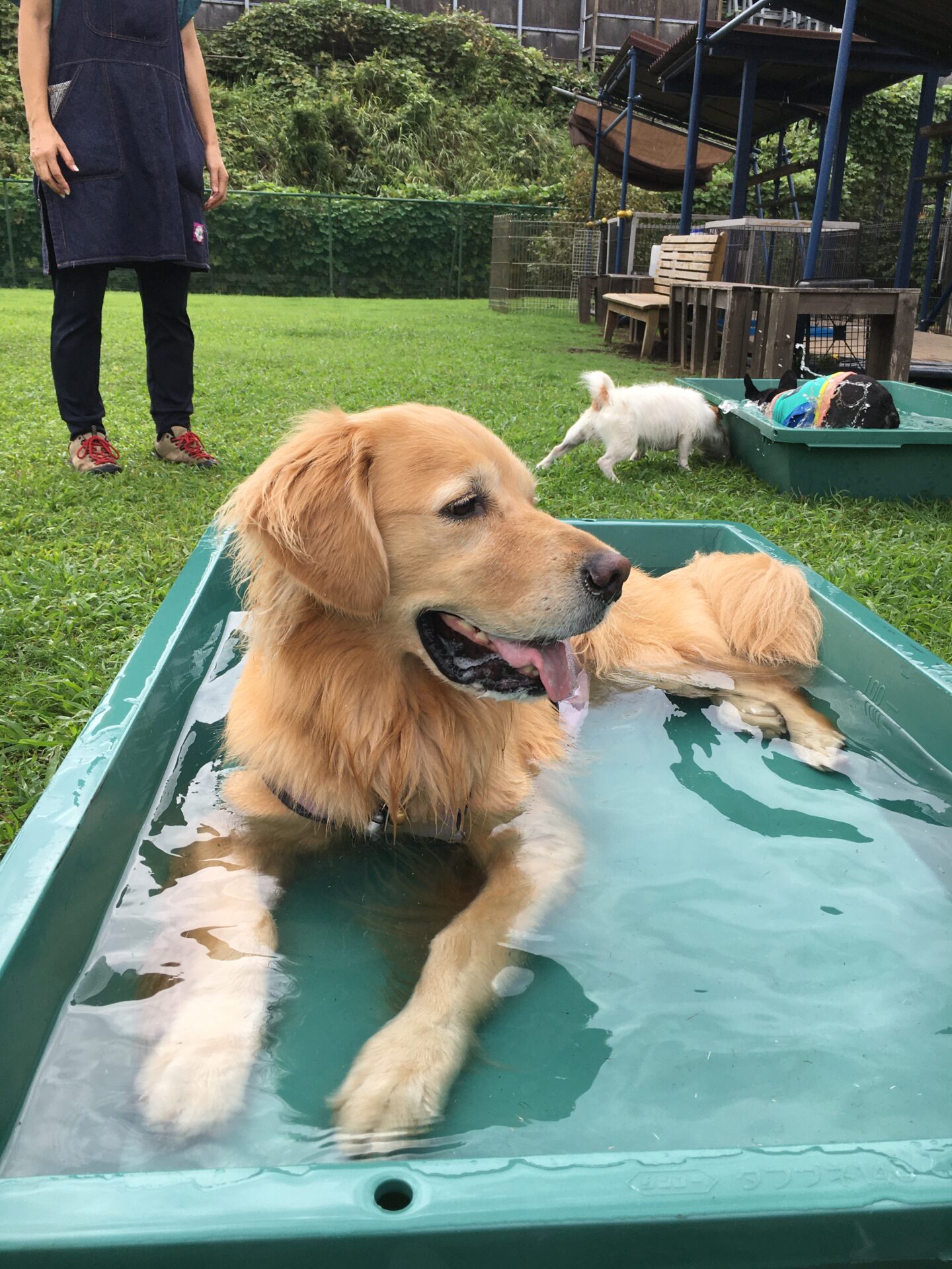 ファイル 8638-5.jpeg