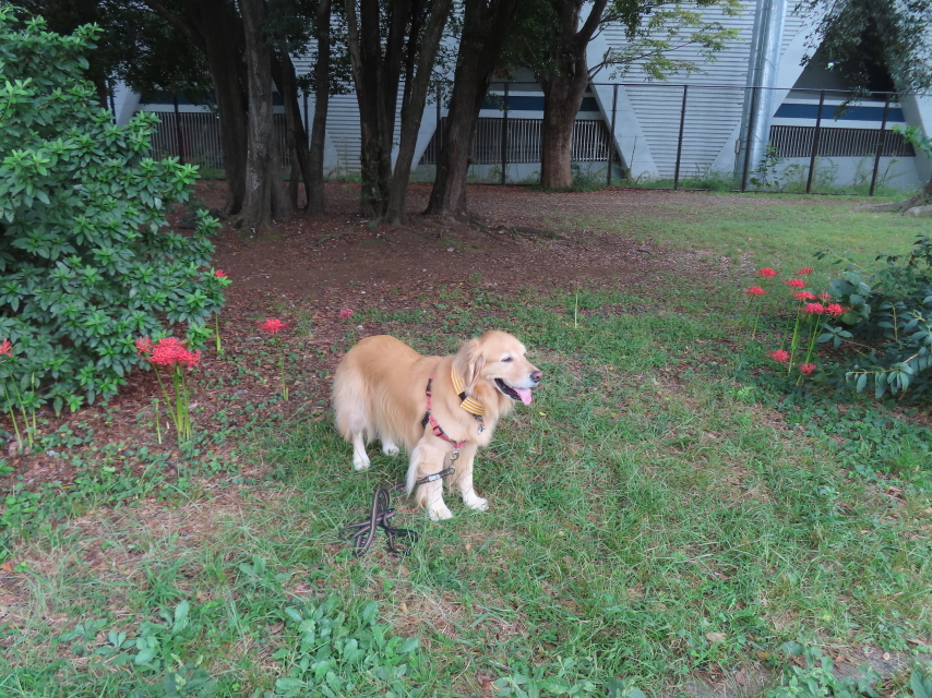 ファイル 8639-1.jpg