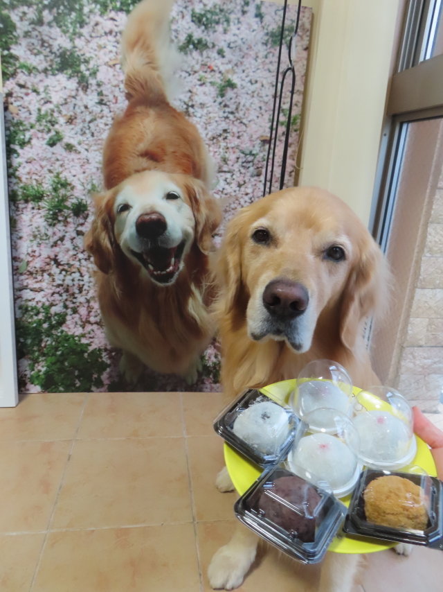 ファイル 8639-4.jpg