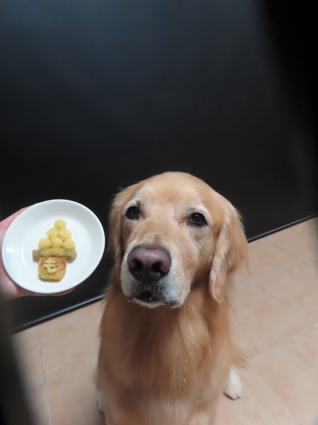 ファイル 8639-5.jpg