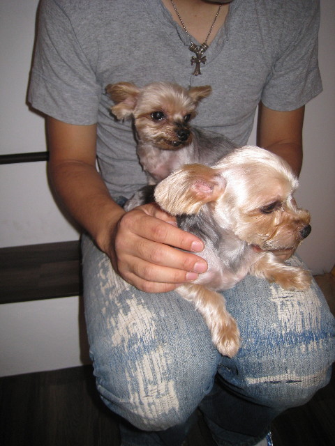 ファイル 864-5.jpg