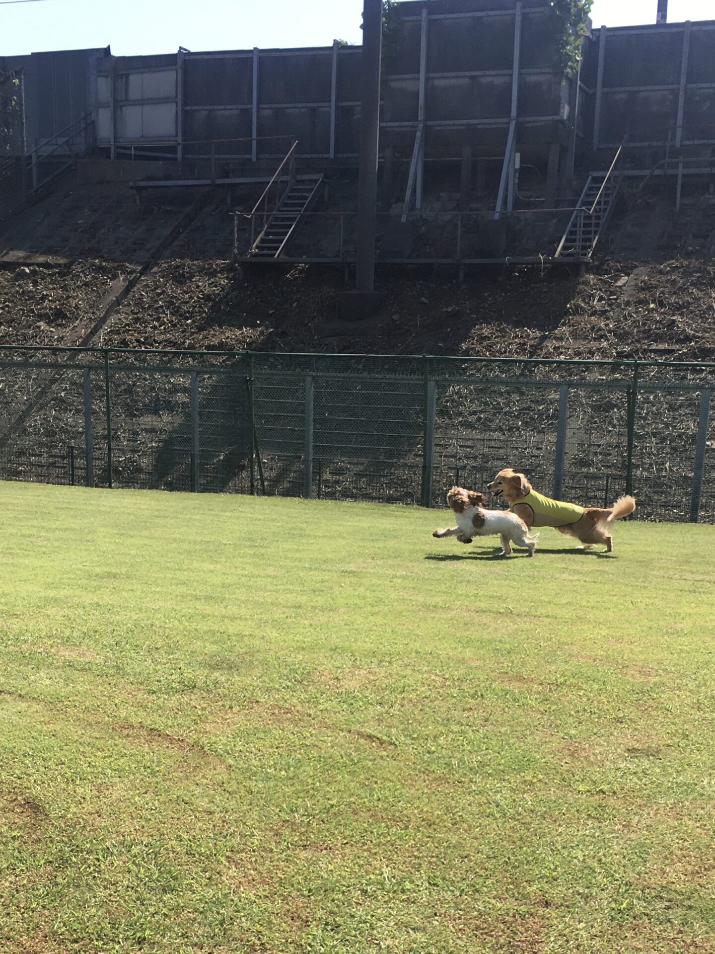 ファイル 8641-2.jpeg